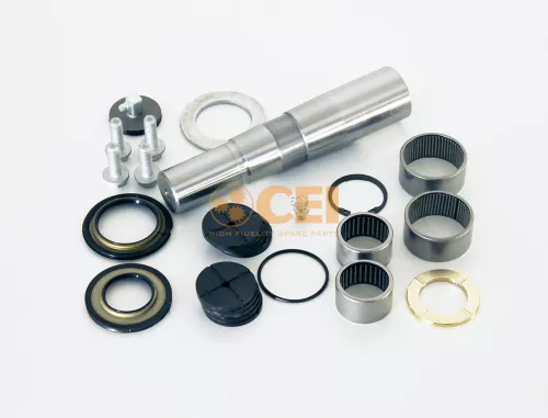 Kit riparazione, Perno fuso a snodo