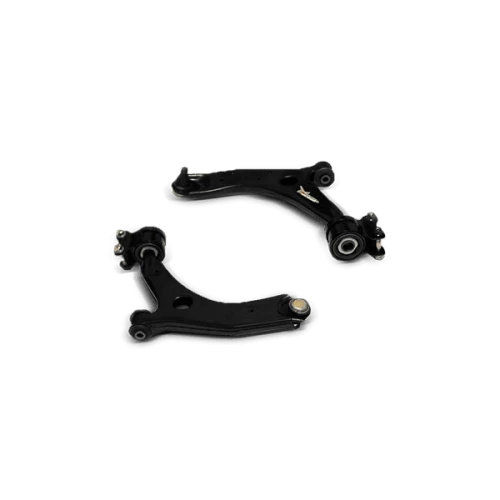 Braccio di controllo