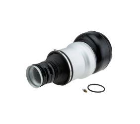 Sospensione a molla pneumatica